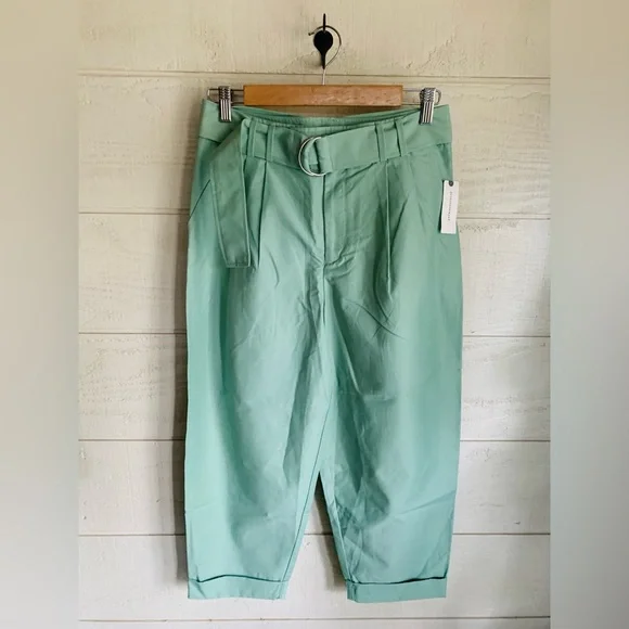 NWT Anthropologie Maeve Belted Tapered Pants, Size 2 - Picture 4 of 5
